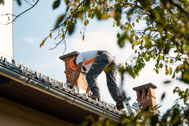 Best New Roof Installation  in Van Horn, TX
