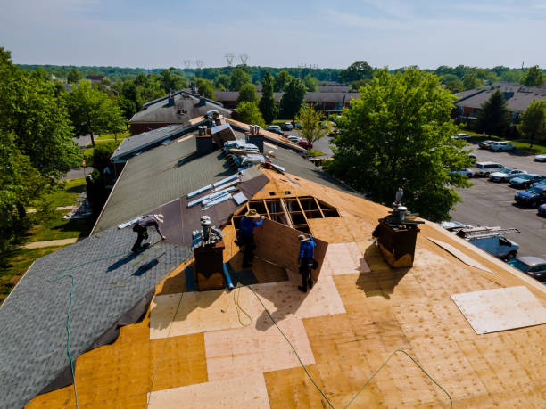 Best Storm Damage Roof Repair  in Van Horn, TX
