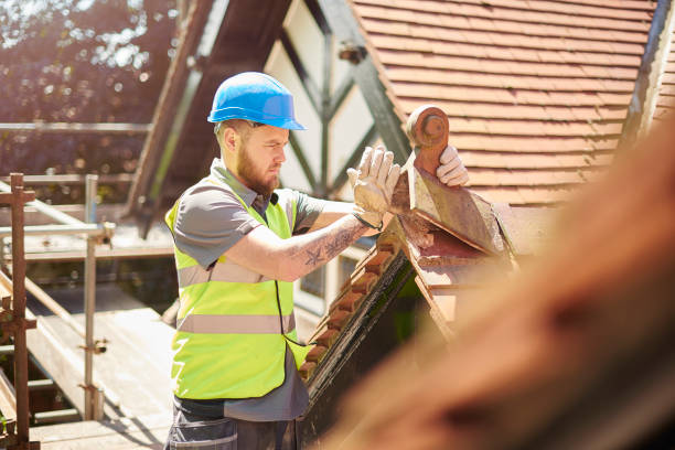 Best Gutter Installation and Roofing  in Van Horn, TX